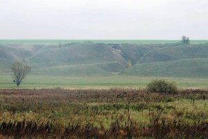 Більське городище (городище Гелон), Котельва